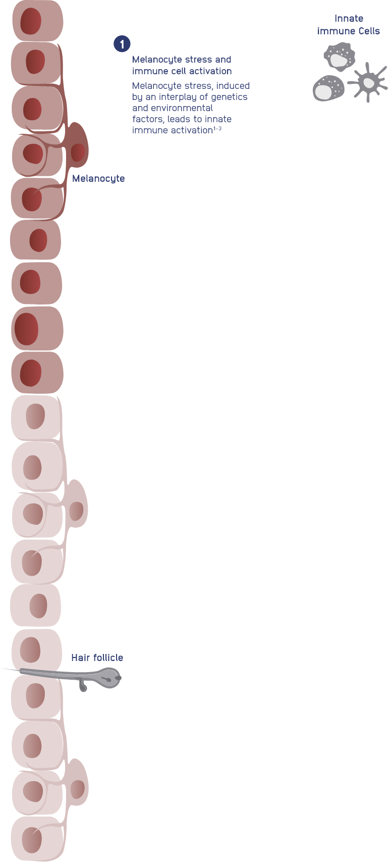 step-1.png