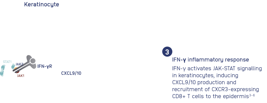 step-3.png