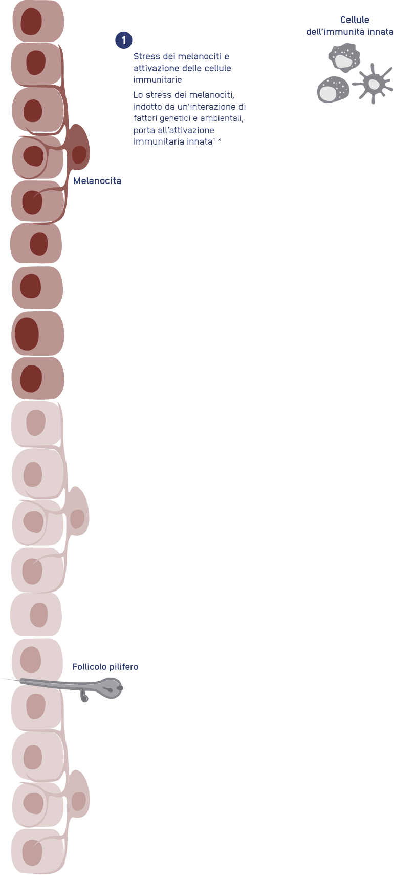 step-1.png