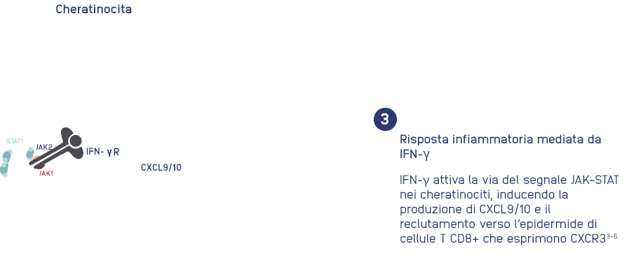 step-3.png
