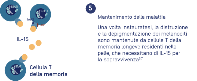 step-5.png